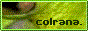 A button for colrana's website.